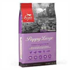 Orijen Puppy Large Breed Grain Free Dry Dog Food